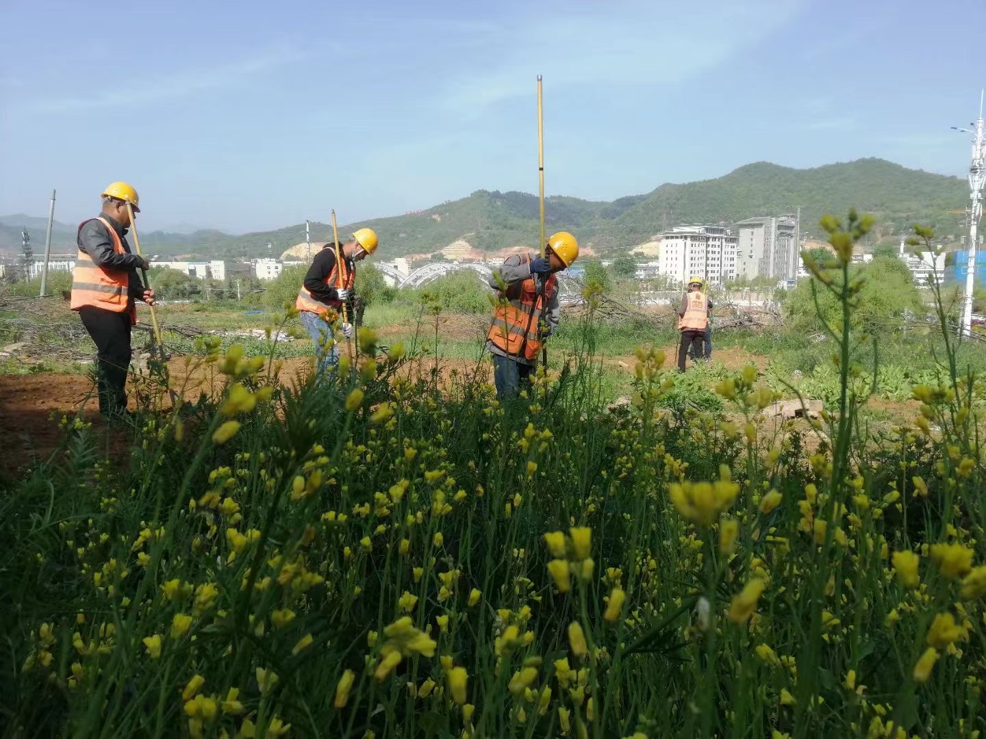 陕一建六分司商洛博物馆项目