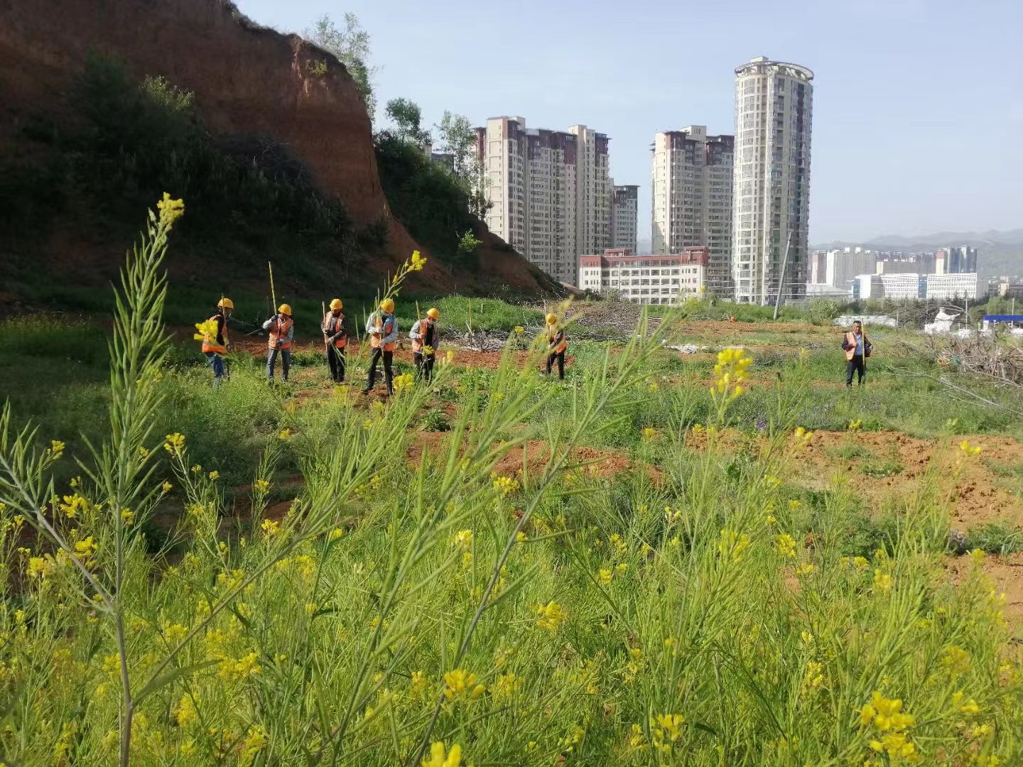 陕一建六分司商洛博物馆项目