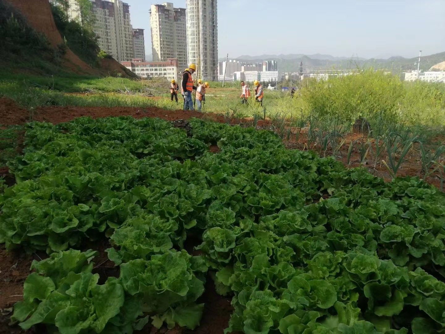 陕一建六分司商洛博物馆项目